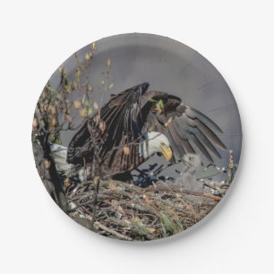 Bald Eagle mit ihrem Baby Pappteller