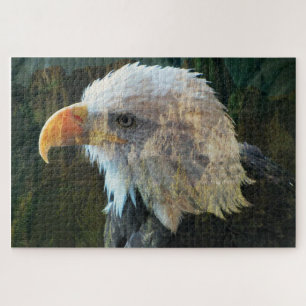 Bald Eagle Mountain