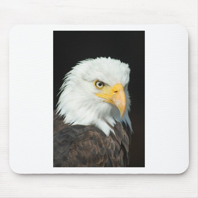 Bald Eagle Mousepad (Vorne)