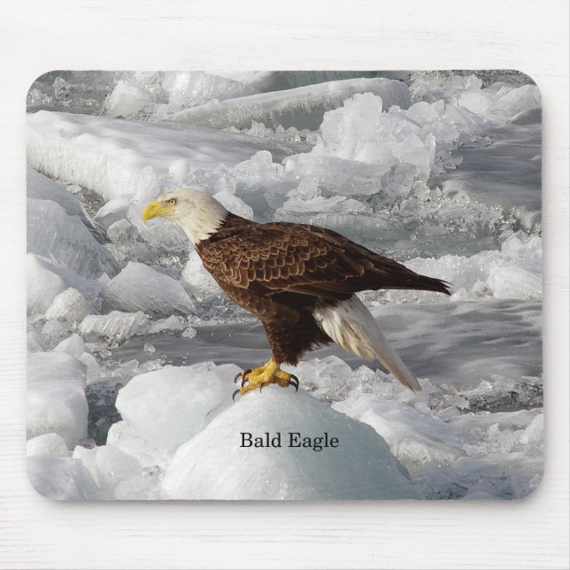 Bald Eagle mousepad (Vorne)