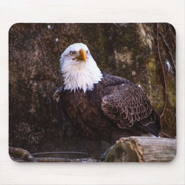 Bald Eagle Mousepad (Vorne)
