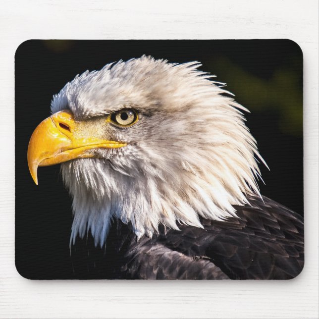 Bald Eagle Mousepad (Vorne)