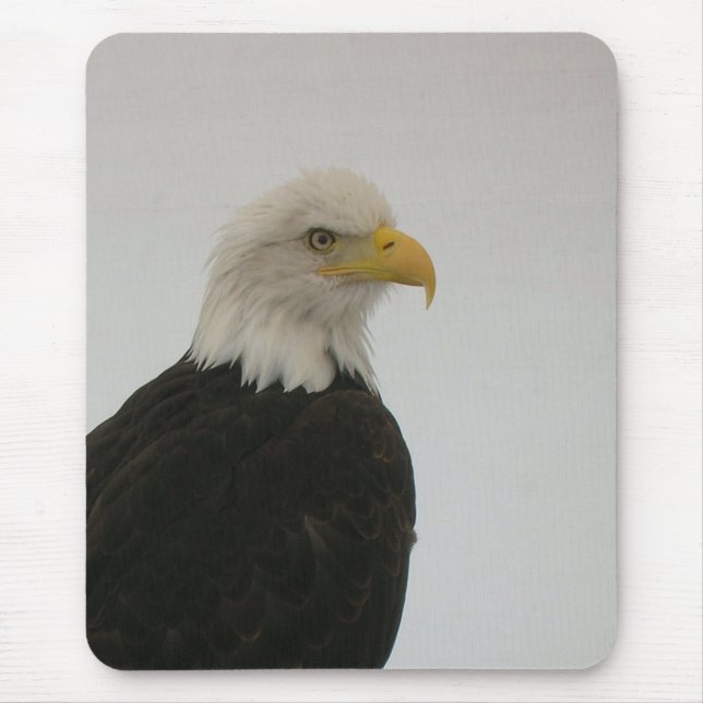 Bald Eagle Mousepad (Vorne)