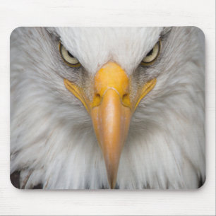 Bald Eagle Mousepad