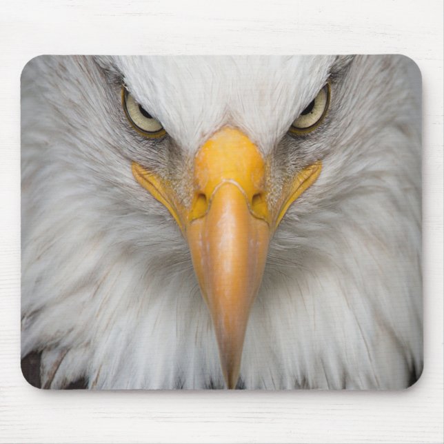 Bald Eagle Mousepad (Vorne)