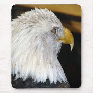 Bald Eagle Mousepad