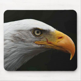 Bald Eagle mpa Mousepad