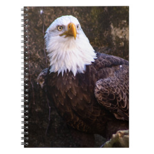 Bald Eagle-Notebook Notizblock