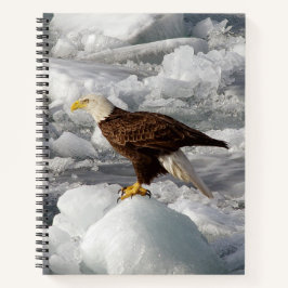 Bald Eagle Notebook Notizbuch