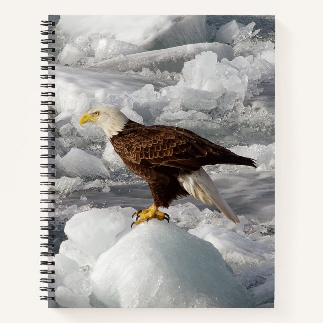Bald Eagle Notebook Notizbuch (Vorderseite)