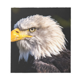 Bald Eagle Notizblock
