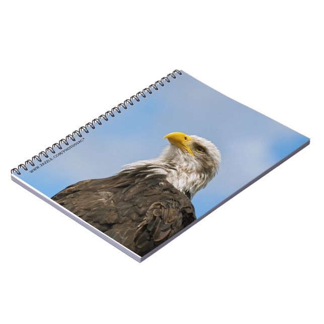 Bald Eagle Notizblock (Linke Seite)