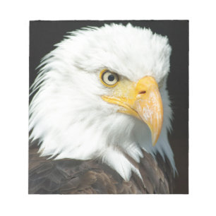 Bald Eagle Notizblock