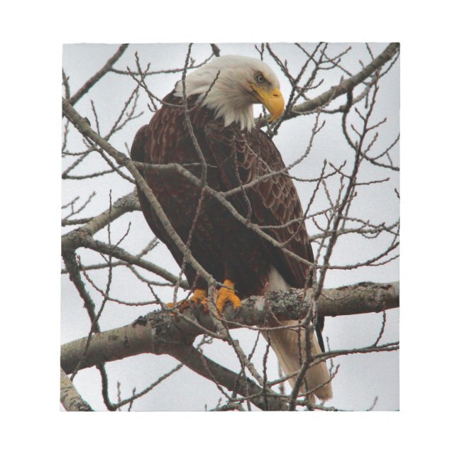 Bald Eagle Notizblock (Vorderseite)