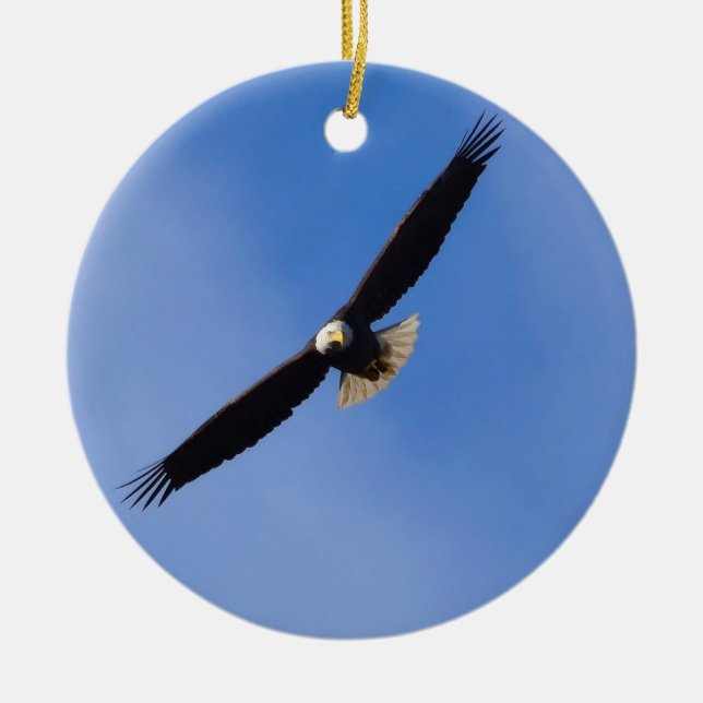 Bald Eagle Ornament (Vorne)