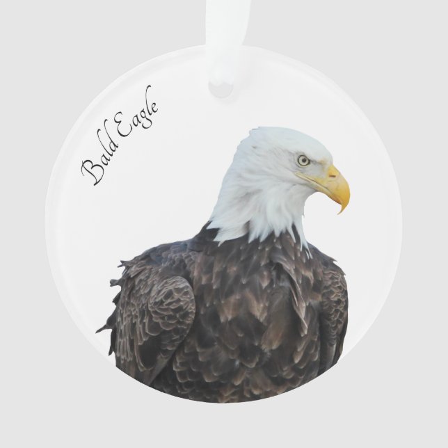 Bald Eagle Ornament (Vorderseite)