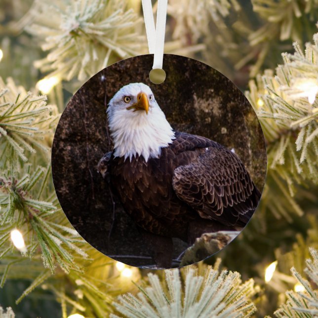 Bald Eagle Ornament Aus Metall (InSitu)