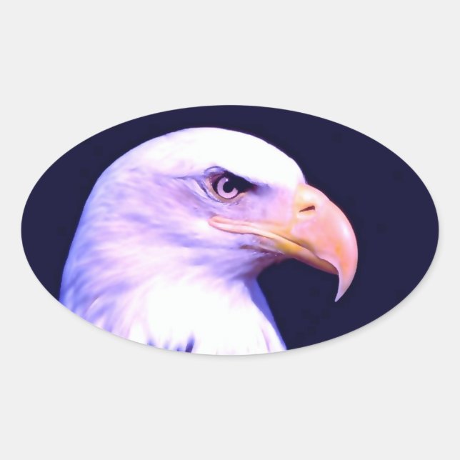 Bald Eagle Ovaler Aufkleber (Vorderseite)
