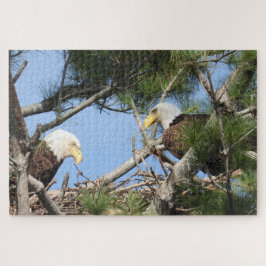 Bald Eagle Pair neigt zum Nest