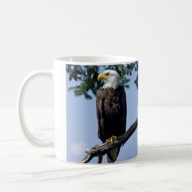 Bald Eagle Parent Kaffeetasse (Links)