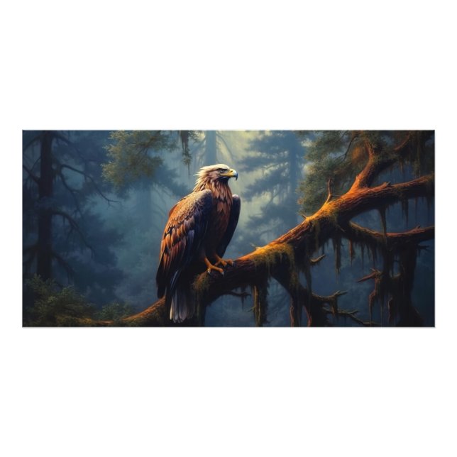 Bald Eagle Perched Fotodruck (Vorne)