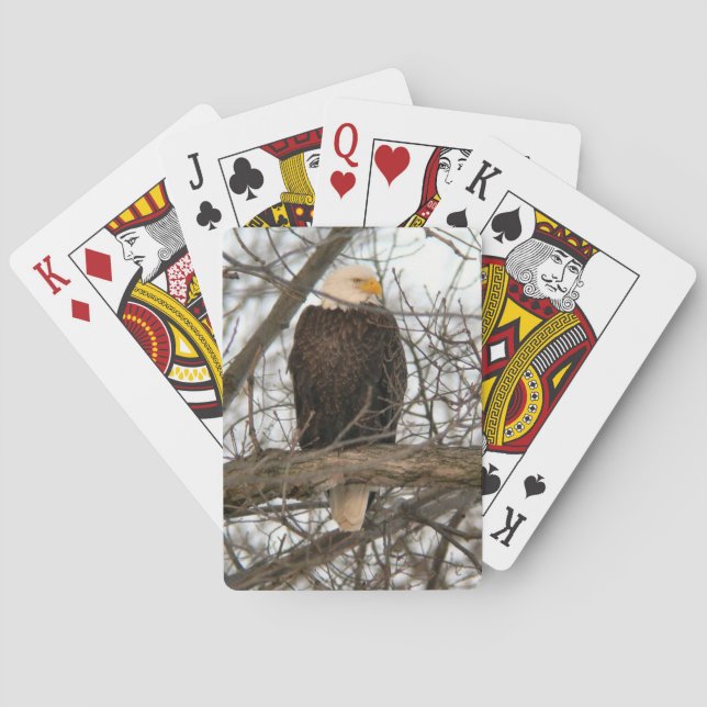 Bald Eagle Pinery Narrows Spielkarten (Rückseite)