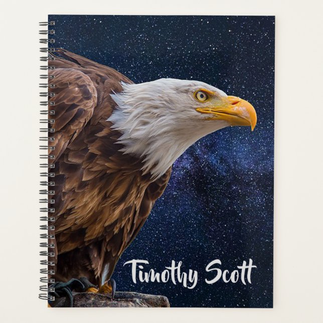 Bald Eagle Planer (Vorderseite)