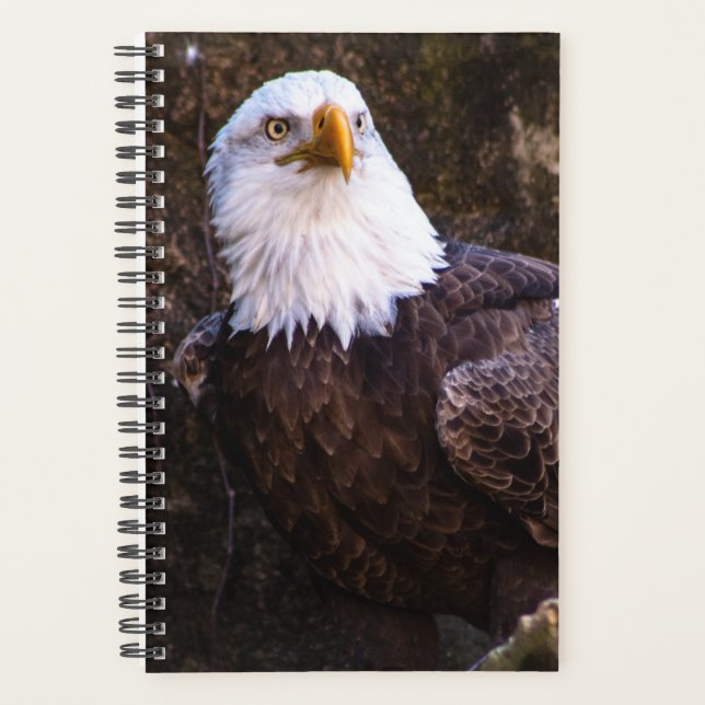 Bald Eagle Planner Planer (Vorderseite)