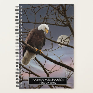 Bald Eagle Pleine lune Faune Photographie