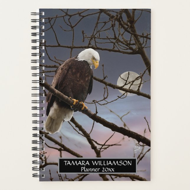 Bald Eagle Pleine lune Faune Photographie (Devant)