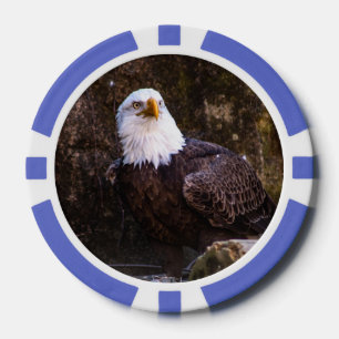 Bald Eagle Pokerchips