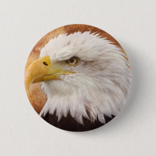 Bald Eagle Portrait Button
