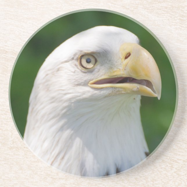 Bald Eagle Portrait Getränkeuntersetzer (Vorne)