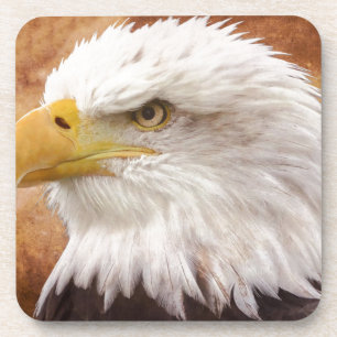 Bald Eagle Portrait Getränkeuntersetzer