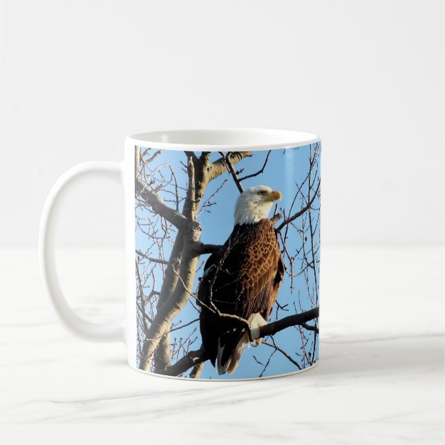 Bald Eagle Portrait Kaffeetasse (Links)