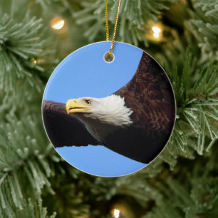 Bald Eagle Portrait Keramik Ornament