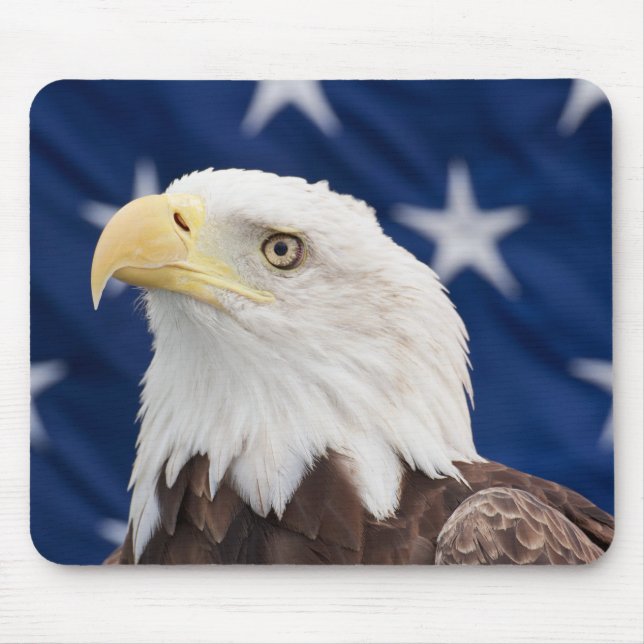 Bald Eagle Portrait mit Sternen Mousepad (Vorne)