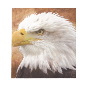 Bald Eagle Portrait Notizblock