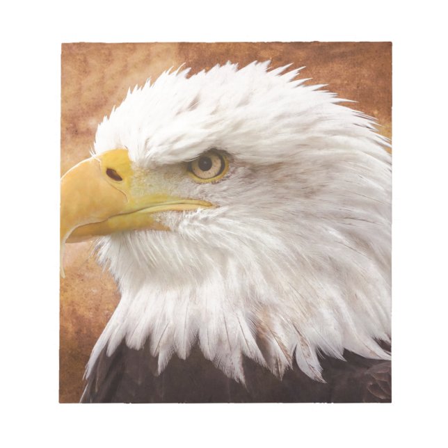 Bald Eagle Portrait Notizblock (Vorderseite)