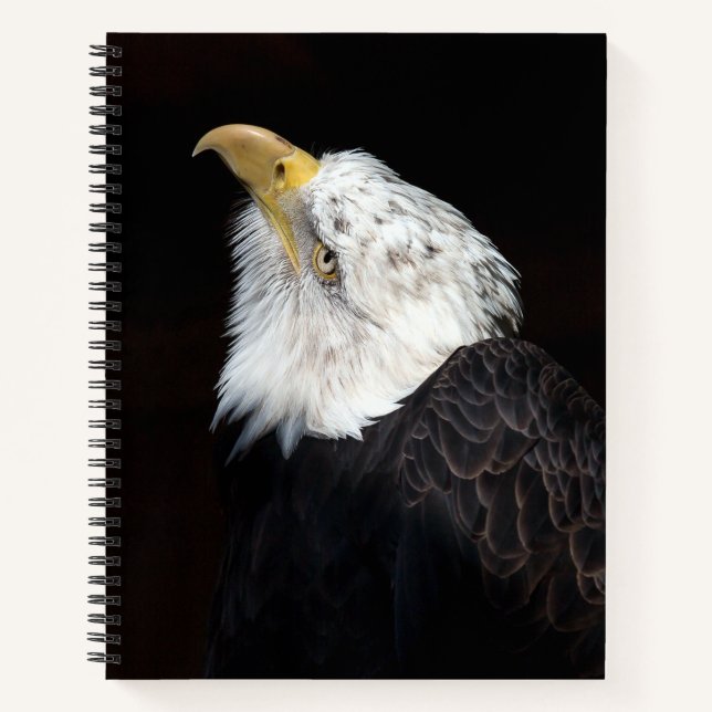 Bald Eagle Portrait Notizbuch (Vorderseite)