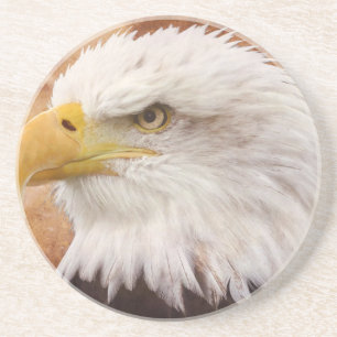 Bald Eagle Portrait Untersetzer