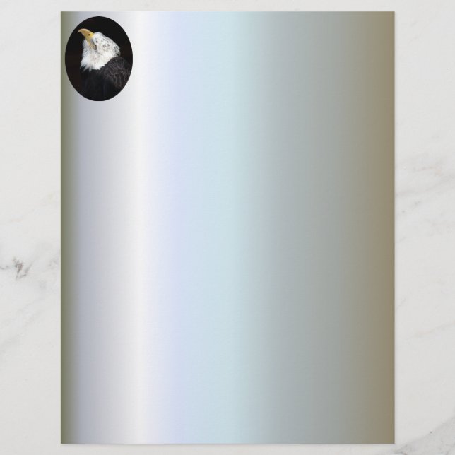 Bald Eagle Portriat (Vorderseite)