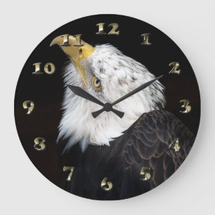 Bald Eagle Portriat Große Wanduhr