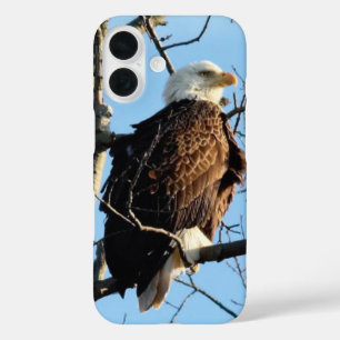 Bald Eagle Pose iPhone 16 Hülle