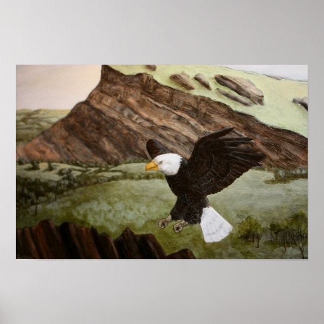 Bald Eagle Poster (Vorne)