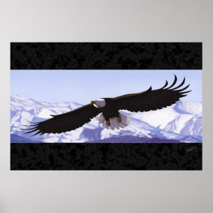 Bald Eagle Poster