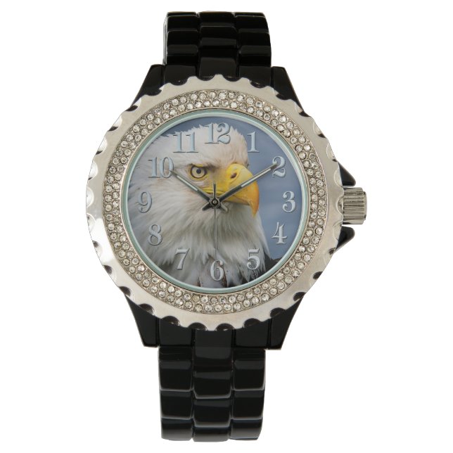Bald Eagle Raptor Portrait Armbanduhr (Vorderseite)