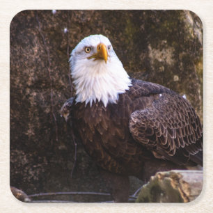 Bald Eagle Rechteckiger Pappuntersetzer