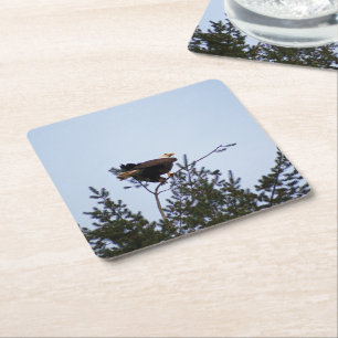 Bald Eagle Rechteckiger Pappuntersetzer