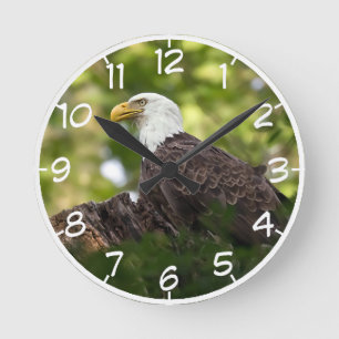 Bald Eagle Rest Stop Runde Wanduhr